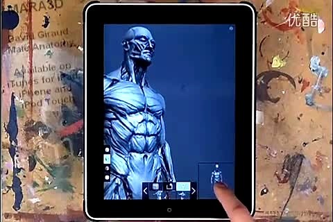 MARA3D- 人体解剖学应用软件 David Giraud Male Anatomy