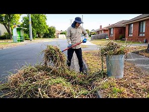 He Said "You'll Regret Taking This On!" (The Wildest 16-Hour Yard RESCUE)