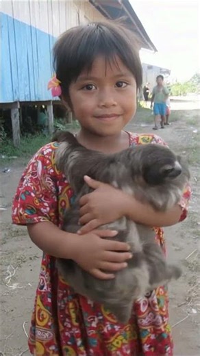 Little Girl Dancing with a Sloth | Cute & Uncommon Friendship Video #Sloth #CuteAnimals #animallove
