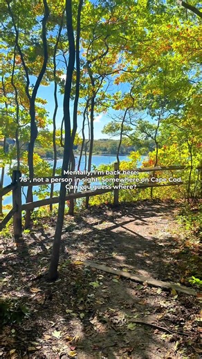 I’m excited for this version of Cape Cod to exist again. #capecodrealtor #lovewhereyoulive #capecod #newenglandsummer #coastalliving