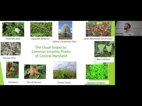 Think of the Planet: Maryland's Five Million Trees Initiative: Trees for Your Homes and Communities