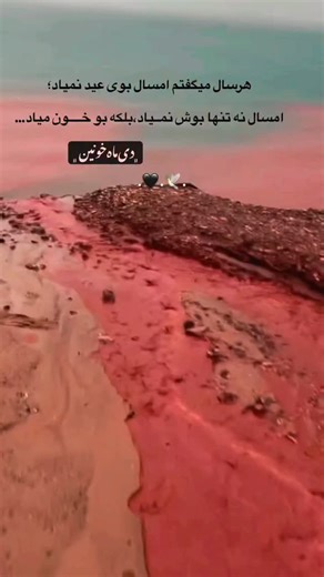 ‎ایران.تکست‎ | This viral video captures a man repeatedly attempting to flee a pursuing Belgian Malinois through a kennel gate, creating a comedic... | Instagram