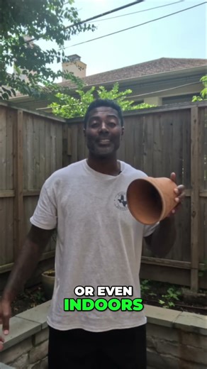 Container Gardening Grow Food ANYWHERE Beginner's Guide