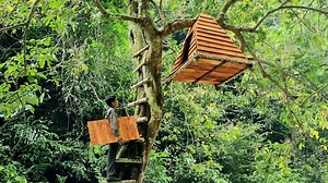 Watch me build a survival shelter on top of a tree, just like a bird's nest! Embracing the heights and creating a cozy refuge among the branches. 🛠️🏕️ | The Forest Path