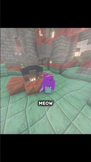 wemmbu meow for the mace