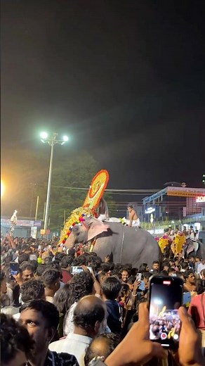 Thrissur Pooram 2025 | Spectacle of Elephants, Fireworks & Culture! #shorts ‪@saravananvlogs‬