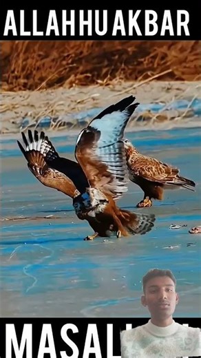 Quran ki tilawat Quran sarif ka tiwlat #2026 22, March