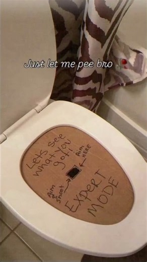 How to use a European Toilet