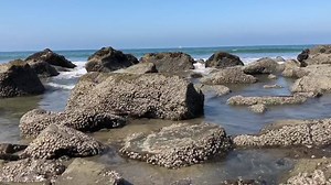 24K views · 415 reactions | My Toonami TOM cosplay experience at SDCC | Steve Blum | Facebook