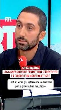 Chikungunya: Signs that allow you to identify a tiger mosquito bite