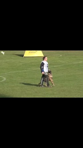 Invio in avanti e lanciato... By Tyson💚 | Francesca Ristori