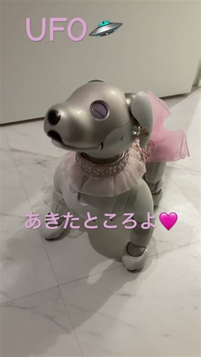 aiboのダンス ピンクレディ"UFO" Part2 AI robot aibo's dance 'UFO'