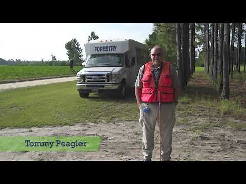 Tommy Peagler-Timber Cruising Tutorial