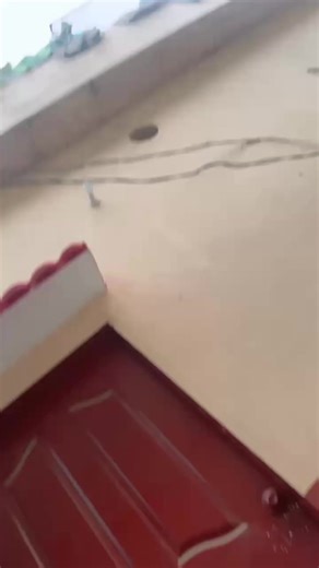 Bhai Log 333 Group Full Power Song Video