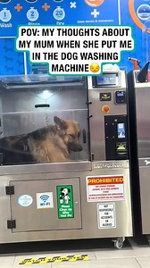 When mom puts you in the dog washing machine | Furry Tails