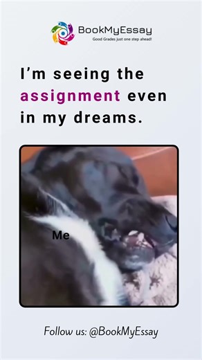 “I’m Seeing the Assignment… Even in My Dreams! 😱📚” #assignment #writingadvice #essaywriting