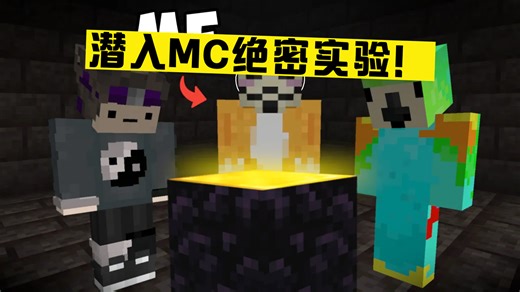 50个YouTuber的Minecraft实验，我偷偷溜进去建了个“黑历史”墓地