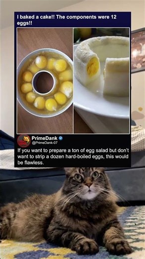 This egg hack is actually genius 🥚 | funny memes | relatable American memes | dank memes