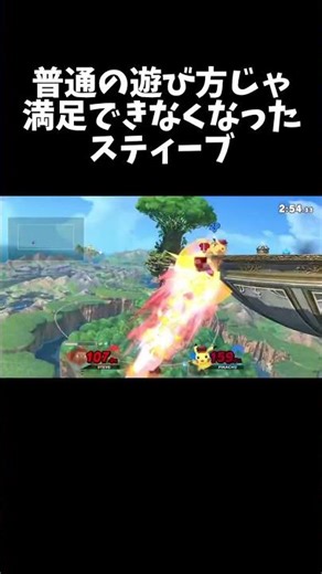 普通の遊び方じゃ満足できなくなったスティーブwww #スマブラsp #スティーブ #steve #supersmashbros