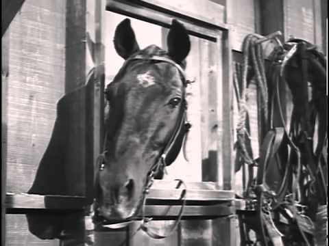 Fury THE 4-H STORY - Peter Graves TV WESTERN