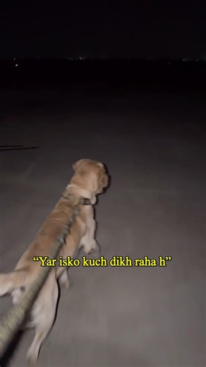 “शायद theo ne bhoot देख लिया”😱👻