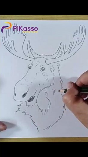 How to Shade a Moose Face Drawing Easy in Less Than One Minutes