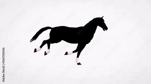 Running horse animal white background video clip motion