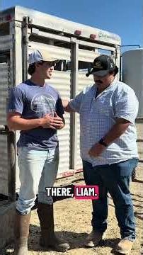 Donating Cows for the Buhl Portuguese festa #country #cowboy #dairy #idaho #country #portuguese