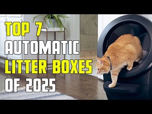 ✅ 7 Best BUDGET Automatic Litter Boxes on Amazon [2025] Self-Cleaning Litter Boxes