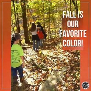 1.4K views · 48 reactions | Lake Cumberland State Resort Park has some of the most beautiful luxury lakeside cabins as well as lakefront hotel/lodge rooms! Book Your "Best Getaway Ever" at LakeCumberlandVacation.com | Visit Lake Cumberland - Russell County, KY | Facebook