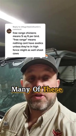 70K views · 498 reactions | Exotic animal range across Texas and more #Texas #freerange #exotics #exotic #aoudad #axis #animals #jamesbigleyranches | James Bigley Ranches | Facebook