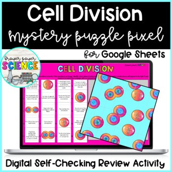 Cell Division Mystery Picture Pixel