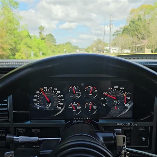 Monte Carlo SS - Malibu - El Camino - Holley Pro Dash 6.86" & 12.3"