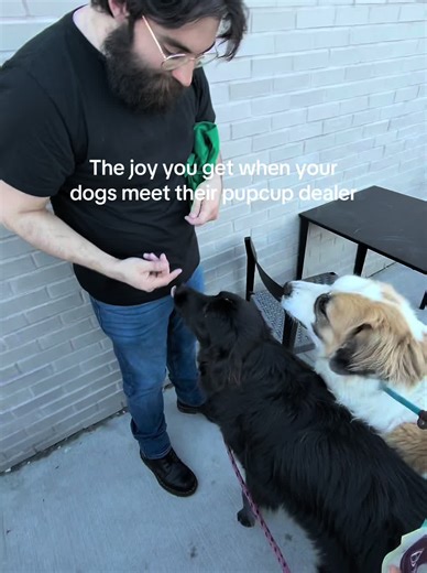 The Joy of Being a Proud Dog Dad