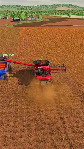 colhendo sorgo #farmingsimulator22