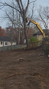 Working on some subdivision walnut this morning. #missourilogging #missouritimber #lumberjack #sawmill #trees #Logging #lumber #stihlchainsaw #blackwalnut #kubota #walnut #Missouri | Gauldin Logging LLC