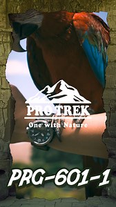 Live life on the wild side, and wear the PRG-601 - the outdoors watch from PRO TREK built from earth-friendly materials One with Nature PRG-601 #casio #protrek #onewithnature #beauty #trekking #nature #hiking #travel #mountains #adventure #landscape #naturelovers #watch | CASIO PRO TREK