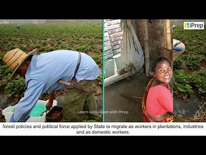 Adivasis and Development | Understanding Marginalization | Political Science | Class 8 | iprep