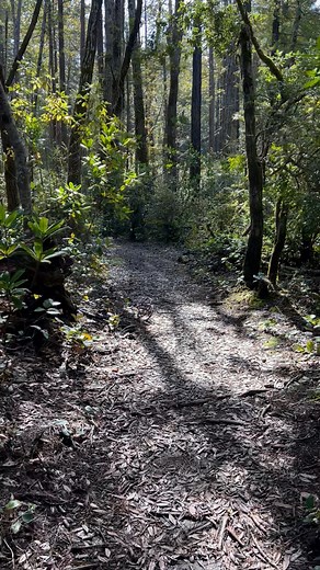 Visit Fort Bragg, California on Reels