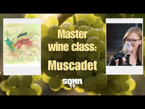Master wine seminar “Muscadet” with wine expert and author Kelli White.