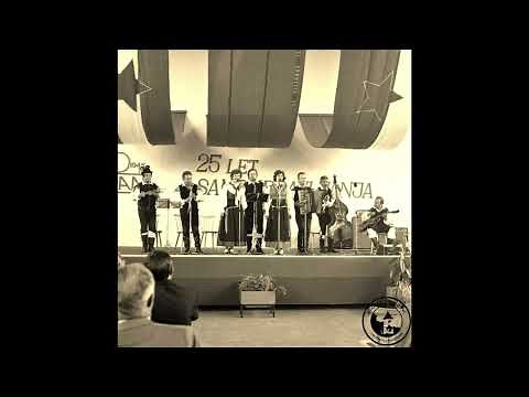 Slavko Avsenik & seine Original Oberkrainer - live