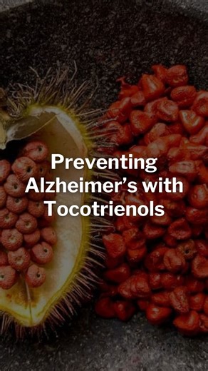Labify Health on Instagram: "Tocotrienols, members of the vitamin E family, have shown promising potential in the prevention and management of Alzheimer’s disease due to their strong antioxidant, anti-inflammatory, and neuroprotective properties. Unlike tocopherols, tocotrienols possess unique unsaturated side chains that allow better penetration into brain cell membranes, enhancing their protective effects against oxidative stress and lipid peroxidation—key contributors to Alzheimer’s pathology