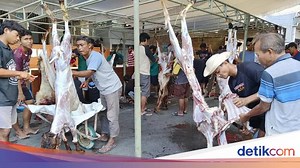 Idul Adha, Hewan Kurban LDII Bali Bertambah Jadi 115 Sapi-244 Kambing