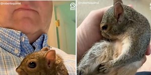 Man found a newborn squirrel in his driveway, raised it, and now they're best friends.