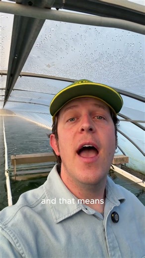 Why I Built an Algae Farm in a Drought Zone