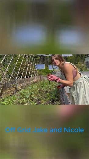 I build a massive greenhouse OFF GRID in forest our new bed, How We Co-Sleep as a Family of 5 , Full Part. | Off Grid Jake and Nicole