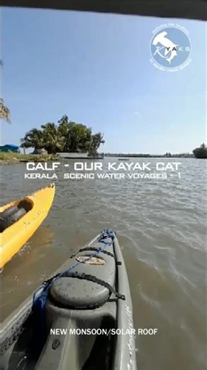 Scenic Backwater Voyages of Kerala on our kayak-cat: Calf