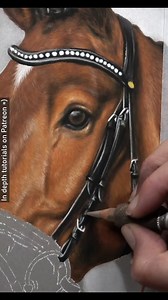 Dylan in progress 💙. All drawn with pastel pencils ☺️ - - - A4 (8.3" x 11.7") pastel drawing Reference photo provided by owner | Zara's Pet Portraits & Wildlife Art