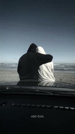 🎶🌙Whatsapp ucun maraqli, MƏNALI statuslar, status ucun videolar, QEMLİ WHATSAPP STATUSLARI 2026