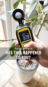 It’s survival of the fittest over here, but this Ficus Audrey is going to make it! I found a new leaf this morning 🌱 My brain is so satisfied that this pot fits 😮‍💨 The helicopter plant parent in me definitely used a light meter all over my house to make sure my plants are getting optimal light, which I learned is A LOT MORE than you would think. If you comment “𝙼𝙴𝚃𝙴𝚁”, I’ll send you the one I use along with a handy guide that tells you exactly how many foot candles different plants requ